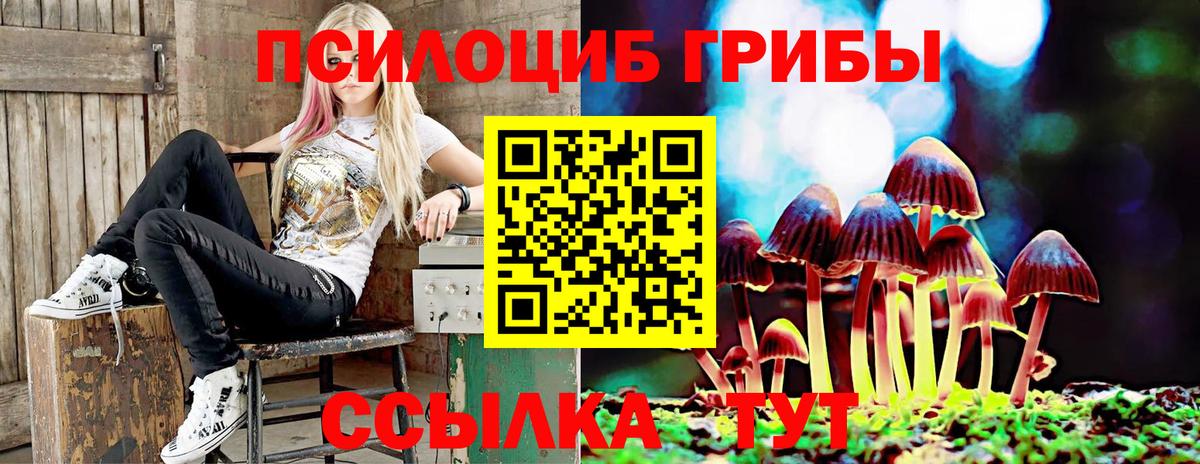 Псилоцибиновые грибы ЛСД Углич